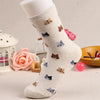 Super Cute Cartoon Cat lovely Socks (5 Colors)