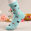 Super Cute Cartoon Cat lovely Socks (5 Colors)