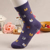 Super Cute Cartoon Cat lovely Socks (5 Colors)