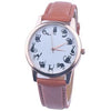 Brand New Catly Women Watches