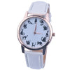 Brand New Catly Women Watches