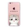 SUPER ADORABLE CAT CLEAR IPHONE CASE