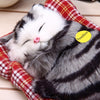 Adorable Cat Plush Doll with Sound