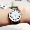 Brand New Catly Women Watches